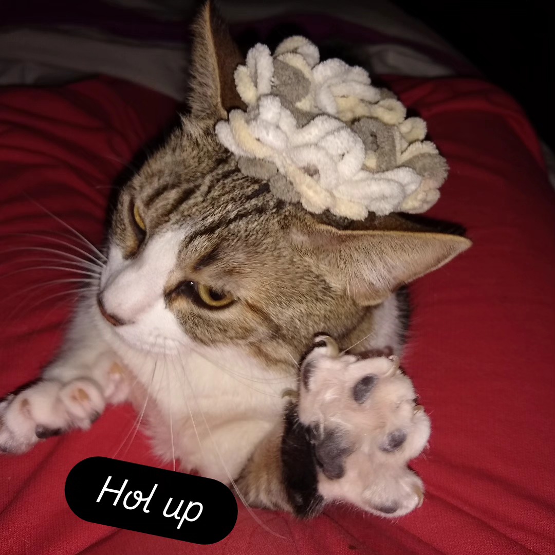 Lady Gatuni says 'Hol up' 
